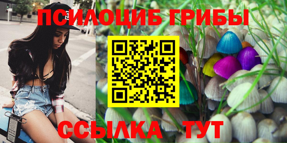 Галлюциногенные грибы MAGIC MUSHROOMS Дальнереченск